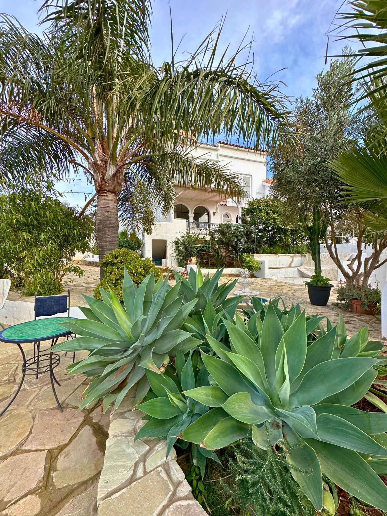 La Finca - 3Br Seaside Villa With Private Pool & Bbq 丹吉尔 外观 照片
